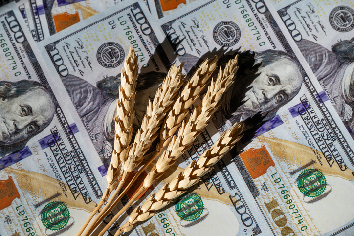 5 Ways to Find Reliable Seed Banks